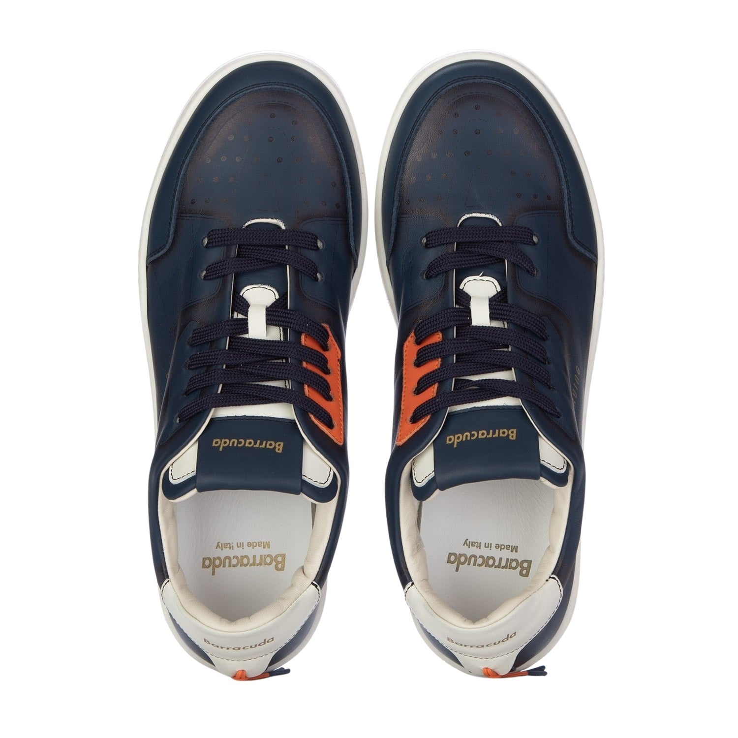 Sneakers Earving Barracuda