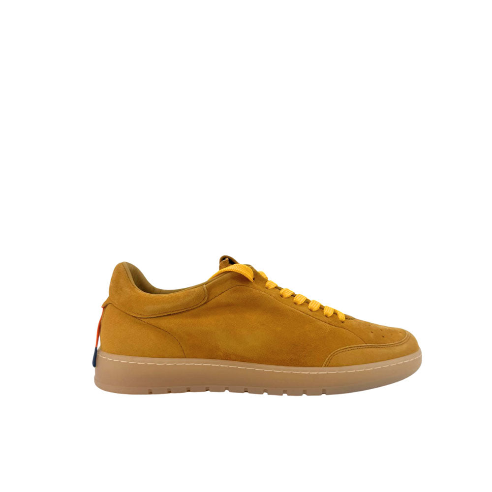 Sneakers Barracuda