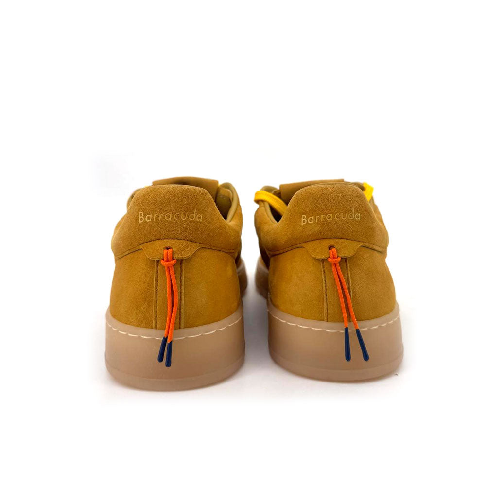 Sneakers Barracuda