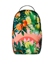 Zaino Citrus Split Sprayground
