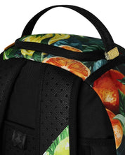 Zaino Citrus Split Sprayground