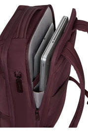 Image Biz Backpack 15.6" Samsonite