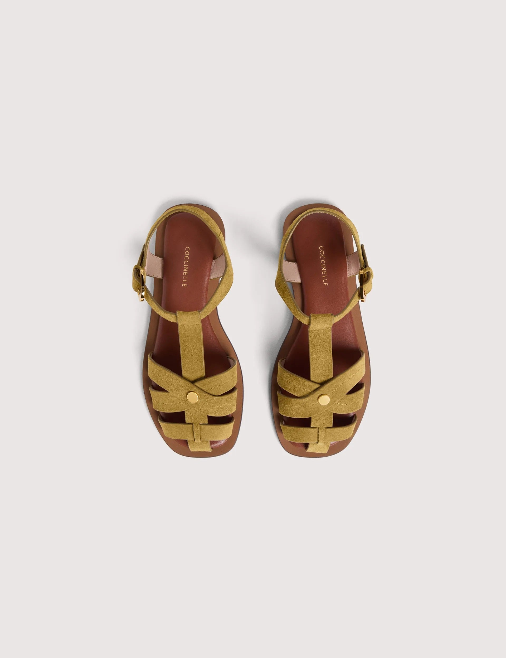 Coccinelle Sunup women's sandal with brown leather straps and ankle buckle, stylish open-toe summer footwear.
