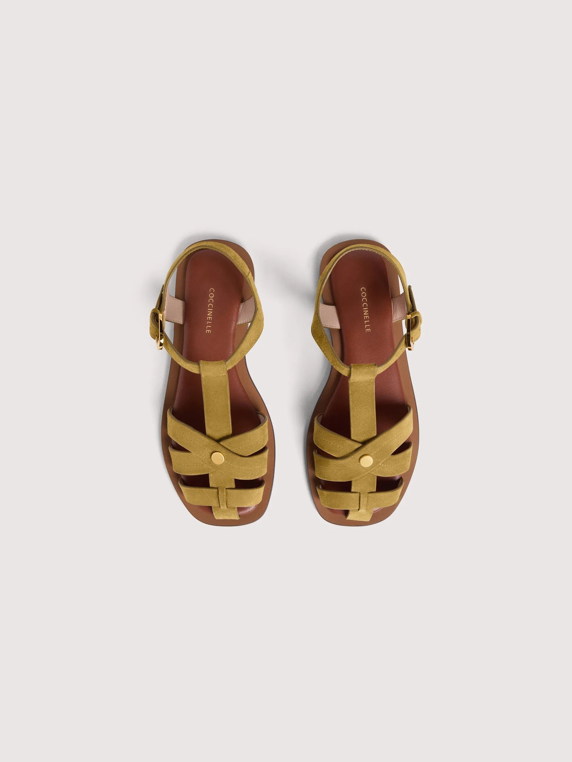 Coccinelle Sunup women's sandal with brown leather straps and ankle buckle, stylish open-toe summer footwear.