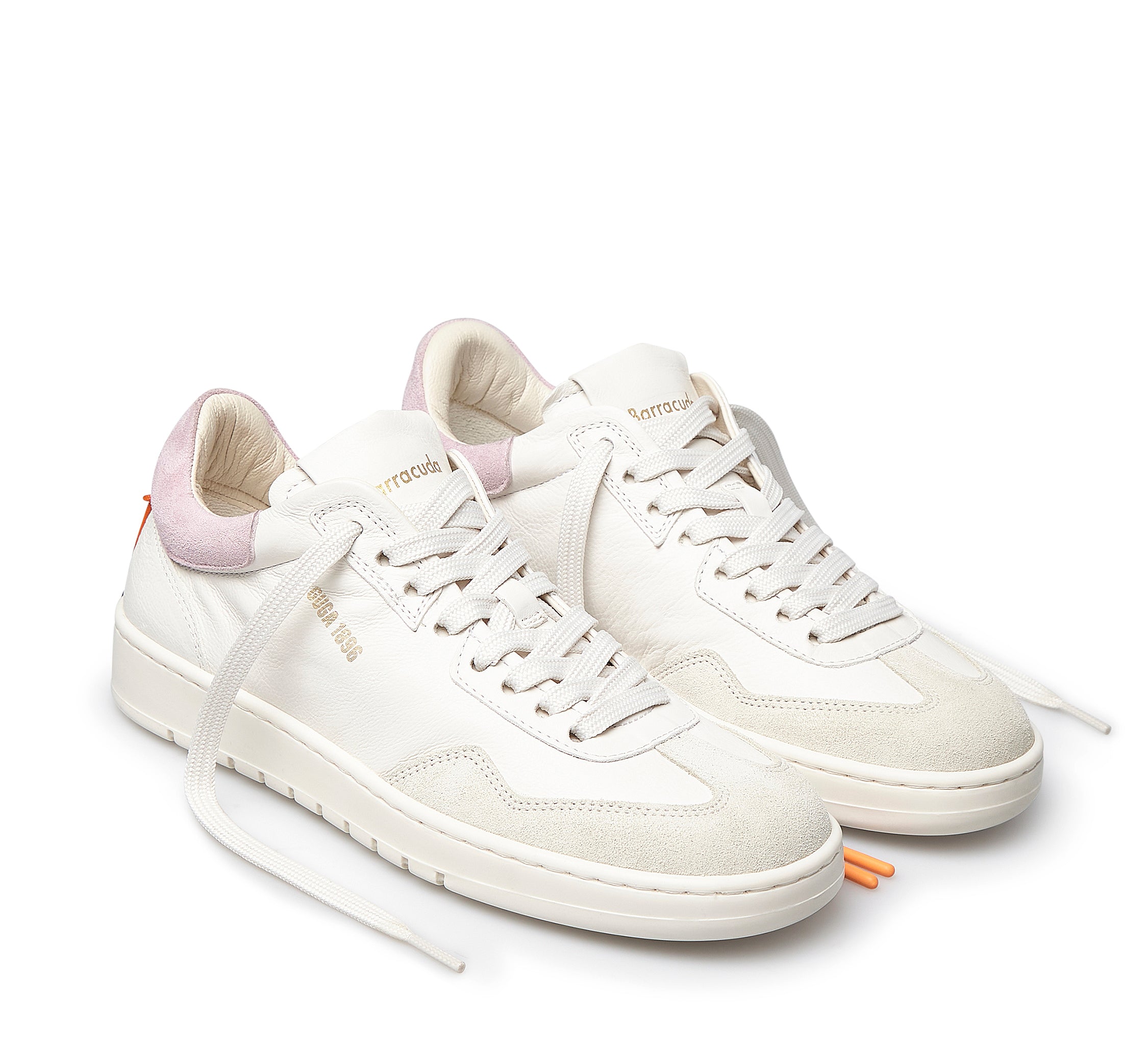 Sneakers Barracuda - MYLILLY